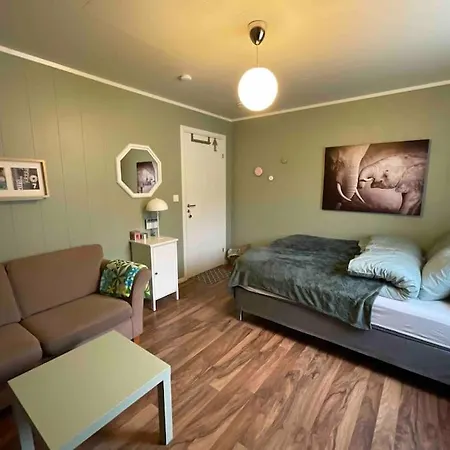 House In 4* 莱克内斯